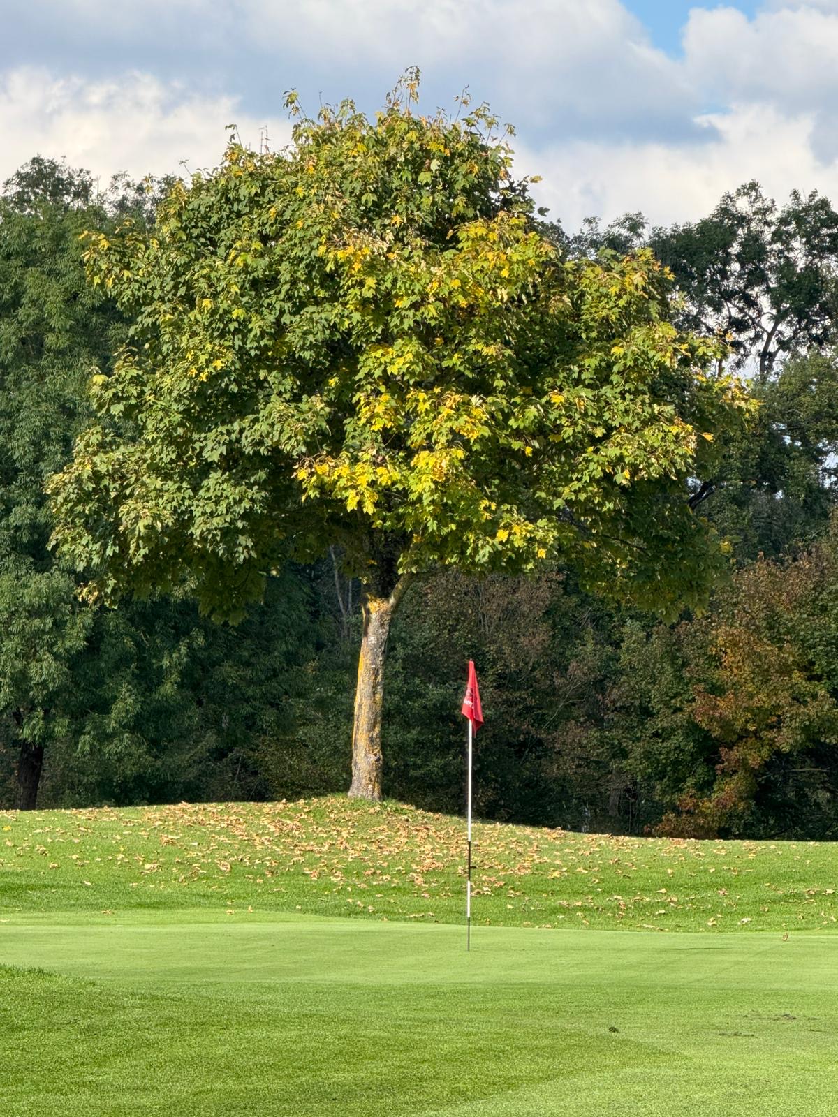 Die Sieger im Matchplay 2025 stehen fest