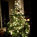 Frohe Weihnachten und ein hoffentlich friedlicheres & gesundes 2026.