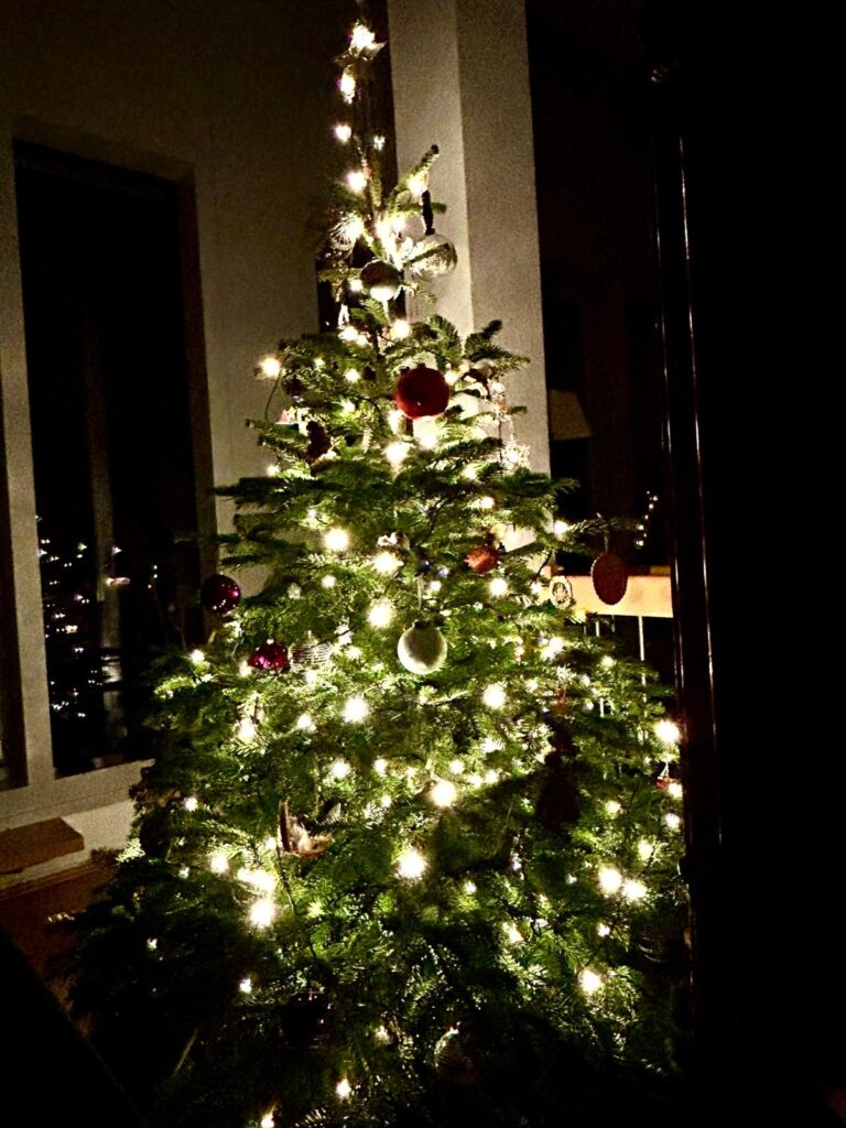 Frohe Weihnachten und ein hoffentlich friedlicheres & gesundes 2026.