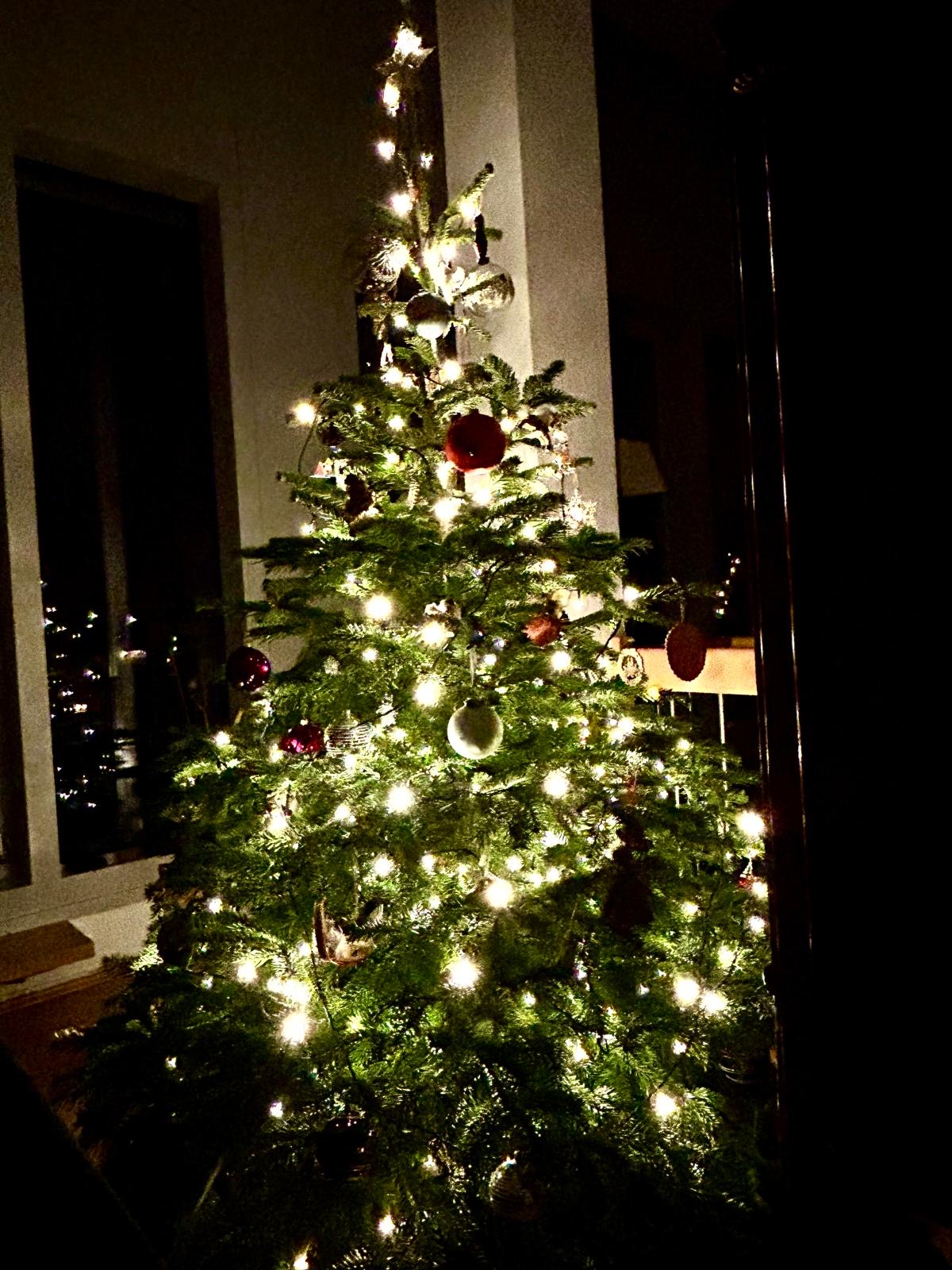 Frohe Weihnachten und ein hoffentlich friedlicheres & gesundes 2026.